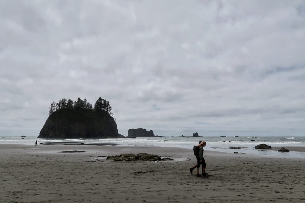 Second Beach Washington Guide to ONP's Best Beach Sand and Elevation