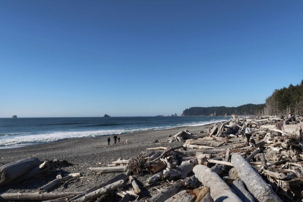 Hole in the Wall on Washington Coast: ONP’s Best Beach Hike