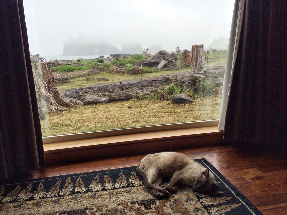 view of James Island and the Pacific Ocean on a foggy overcast day from inside of a La Push cabin on the beach
