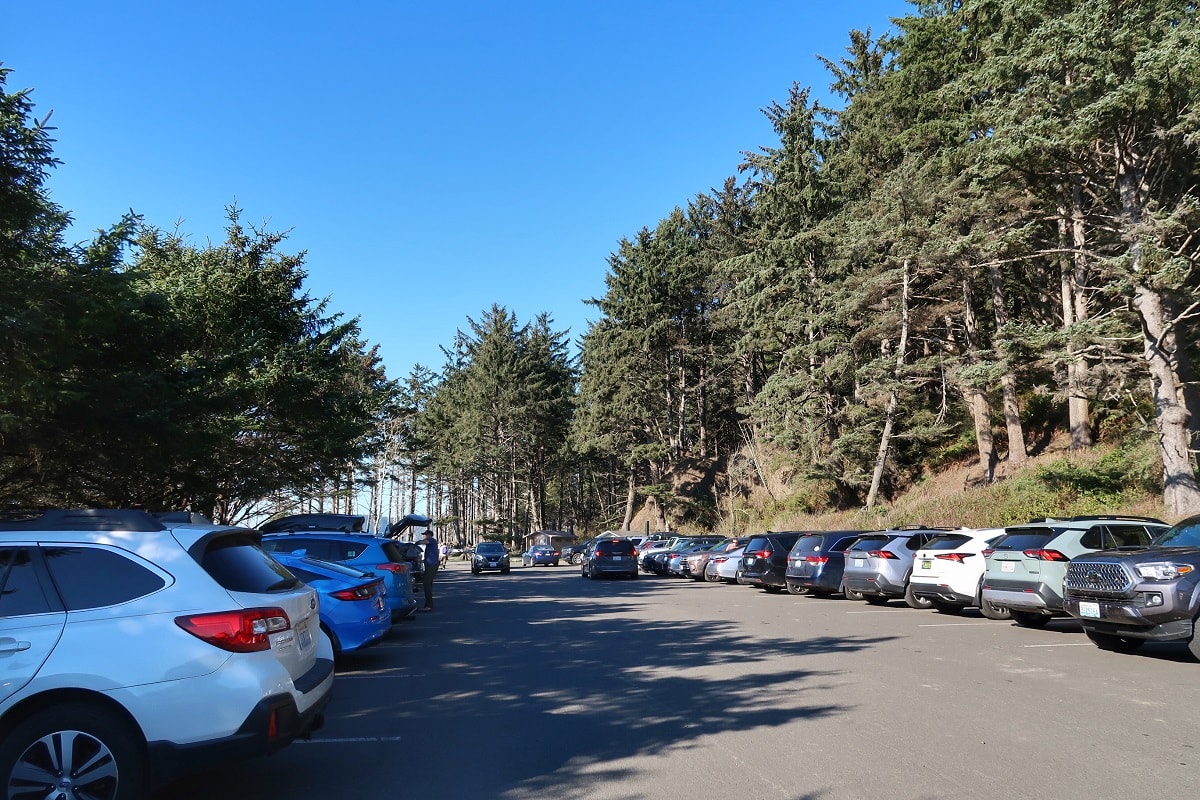 full parking lot surrounded by coastal forest