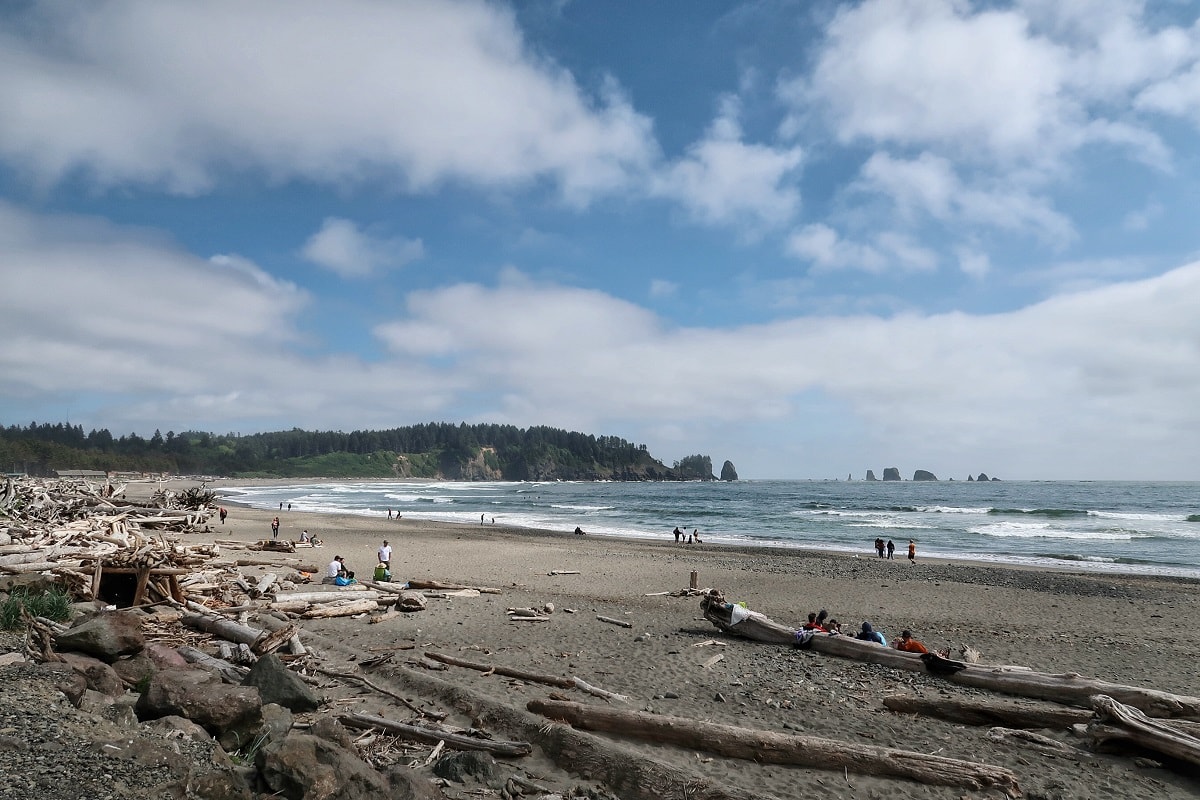 Stay at Quileute Oceanside Resort and enjoy this beautiful view with sea stacks in the ocean and driftwood on the beach.