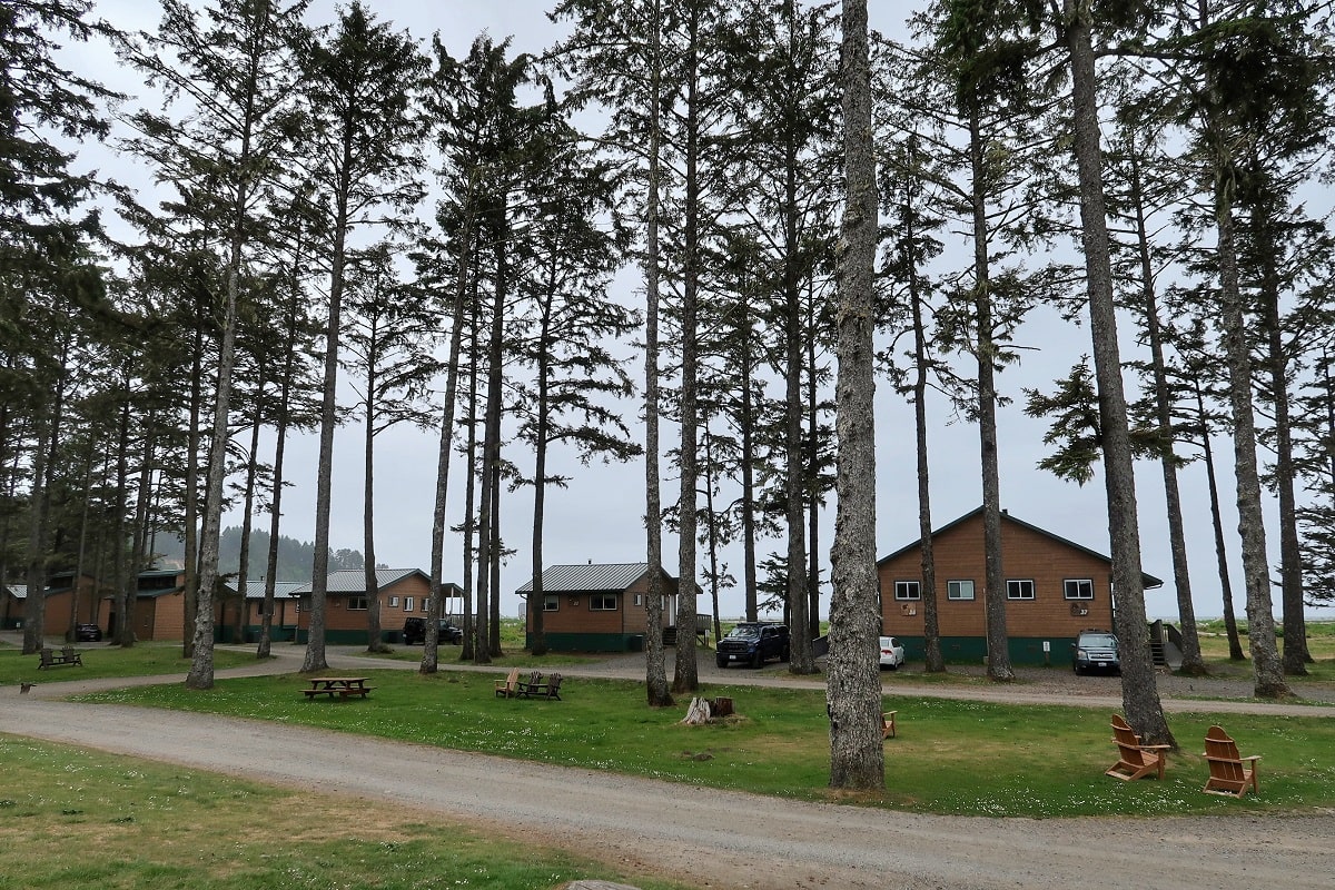 driving and seating areas and cabins surrounded by tall evergreen trees at Quileute Resort