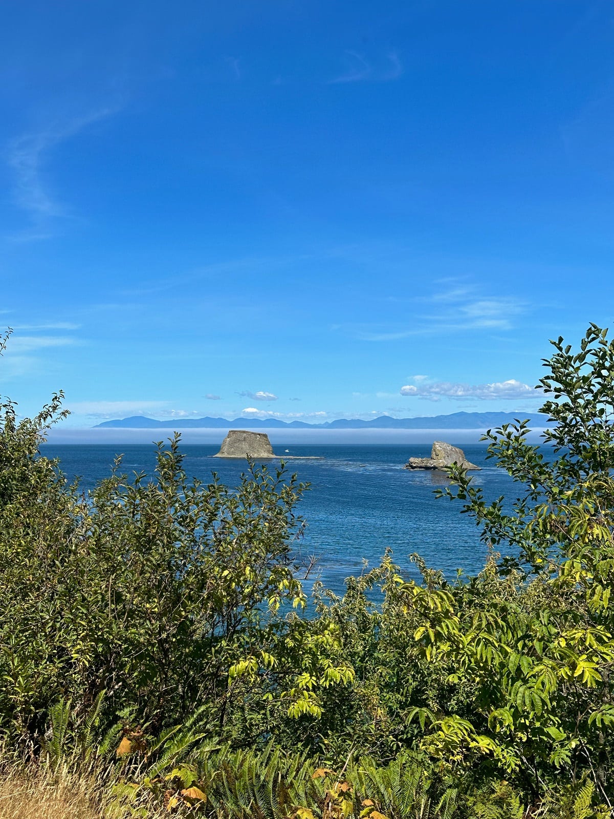 Sail and Seal Rocks off the Washington coast