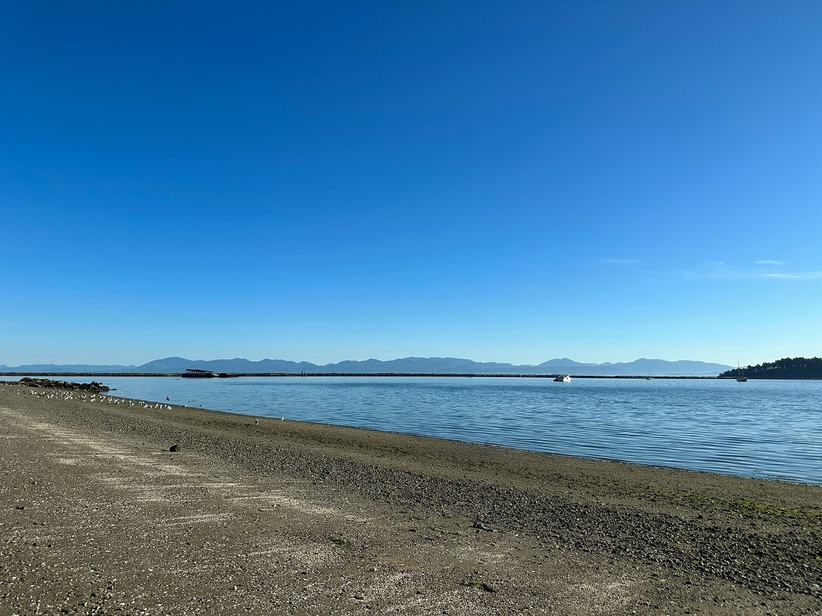 coastline and birds at Dakwas Park Beach