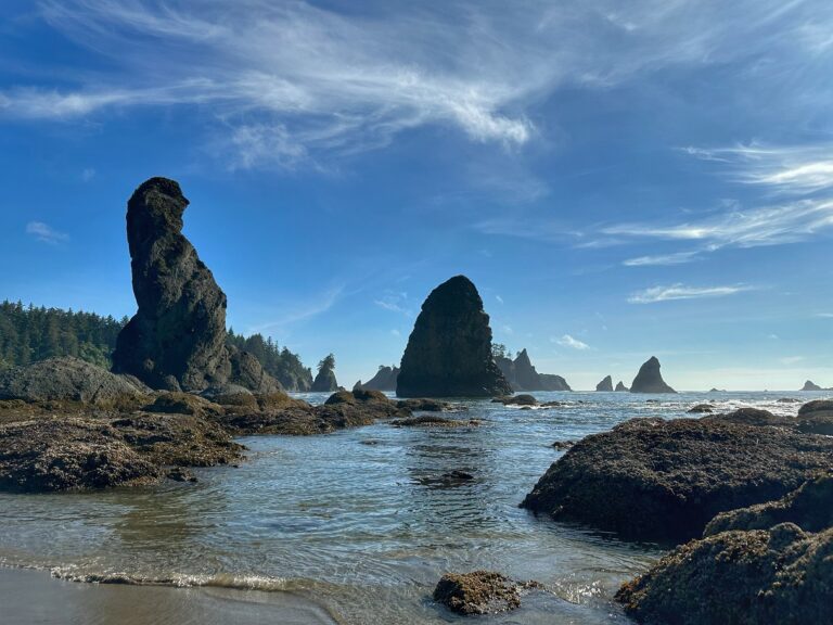 Majestic sea stacks rise from the ocean at Point of Arches
