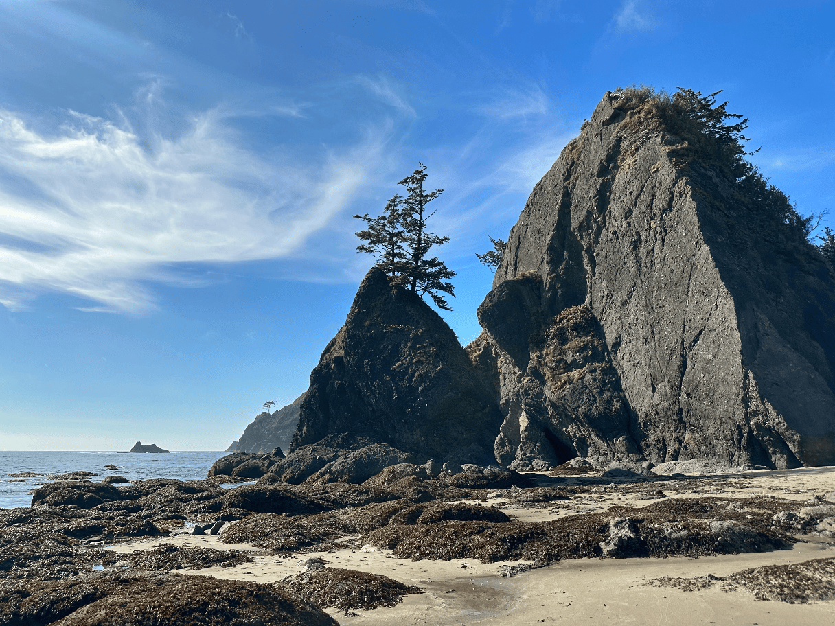 Stark sea stacks crowned with trees against a swirling sky at Point of Arches in Olympic National Park.