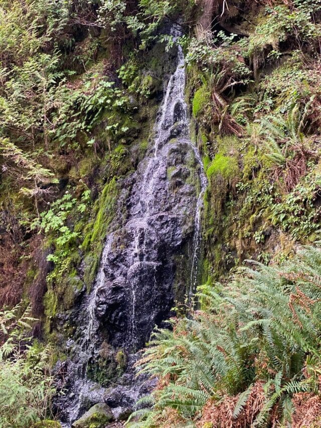 Salt Creek Recreation Area Guide (15 FUN Things to Do!)