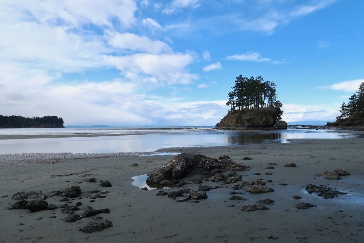 sandy Pacific Northwest beach with rocks and sea stack with evergreen trees 