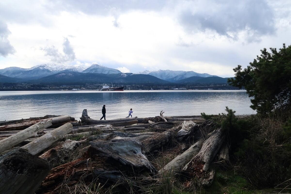 How to spend a day in Port Angeles? Explore driftwood beaches on Ediz Hook and see views of mountains across the water.