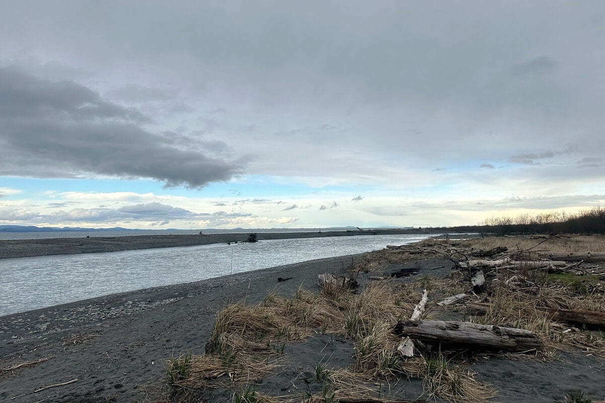 One of the best things to do in Port Angeles is walk the sandy and wild shoreline of Elwha Beach at sunset.