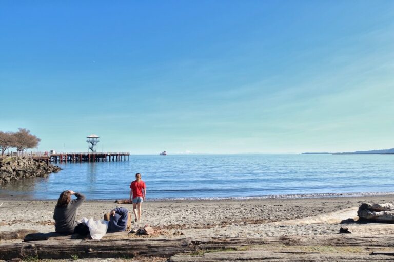 10 BEST Beaches in Port Angeles (TidePooling & More!)