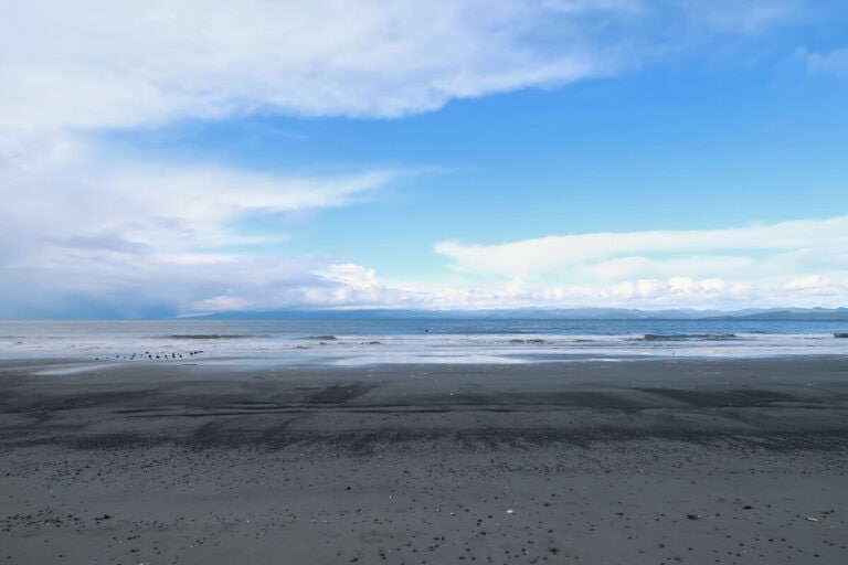 10 BEST Beaches in Port Angeles (TidePooling & More!)