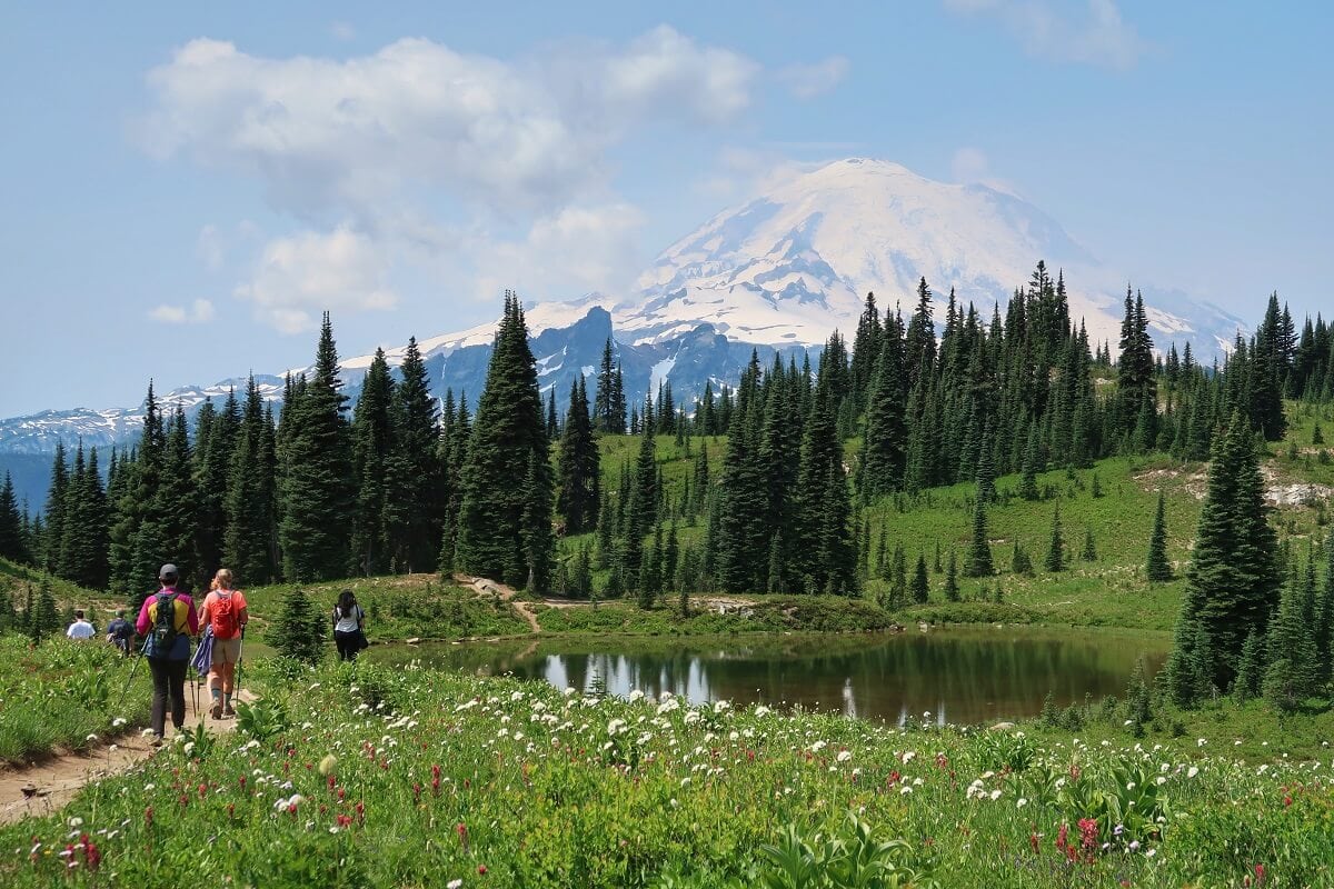 A picturesque scene of hikers walking along Naches Peak Loop Trail surrounded by vibrant red and white wildflowers and lush greenery near a reflective alpine lake, with Rainier's snow-covered peak majestically towering in the background.