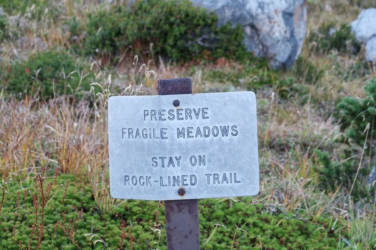 A sign in an alpine meadow reads, "Preserve fragile meadows. Stay on rock-lined trail." The sign is set against a backdrop of grasses, small plants, and scattered rocks, emphasizing the importance of protecting the delicate ecosystem.