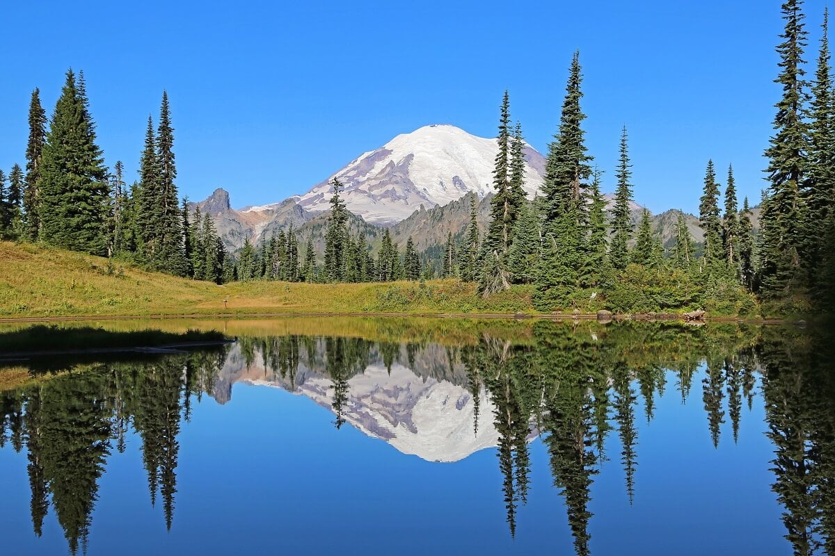 Mount Rainier is reflected perfectly in the calm, clear waters of Tipsoo Lake, surrounded by evergreen trees and grassy meadows. The mountain's snow-covered peak contrasts against the bright blue sky, creating a stunning and tranquil alpine scene. 