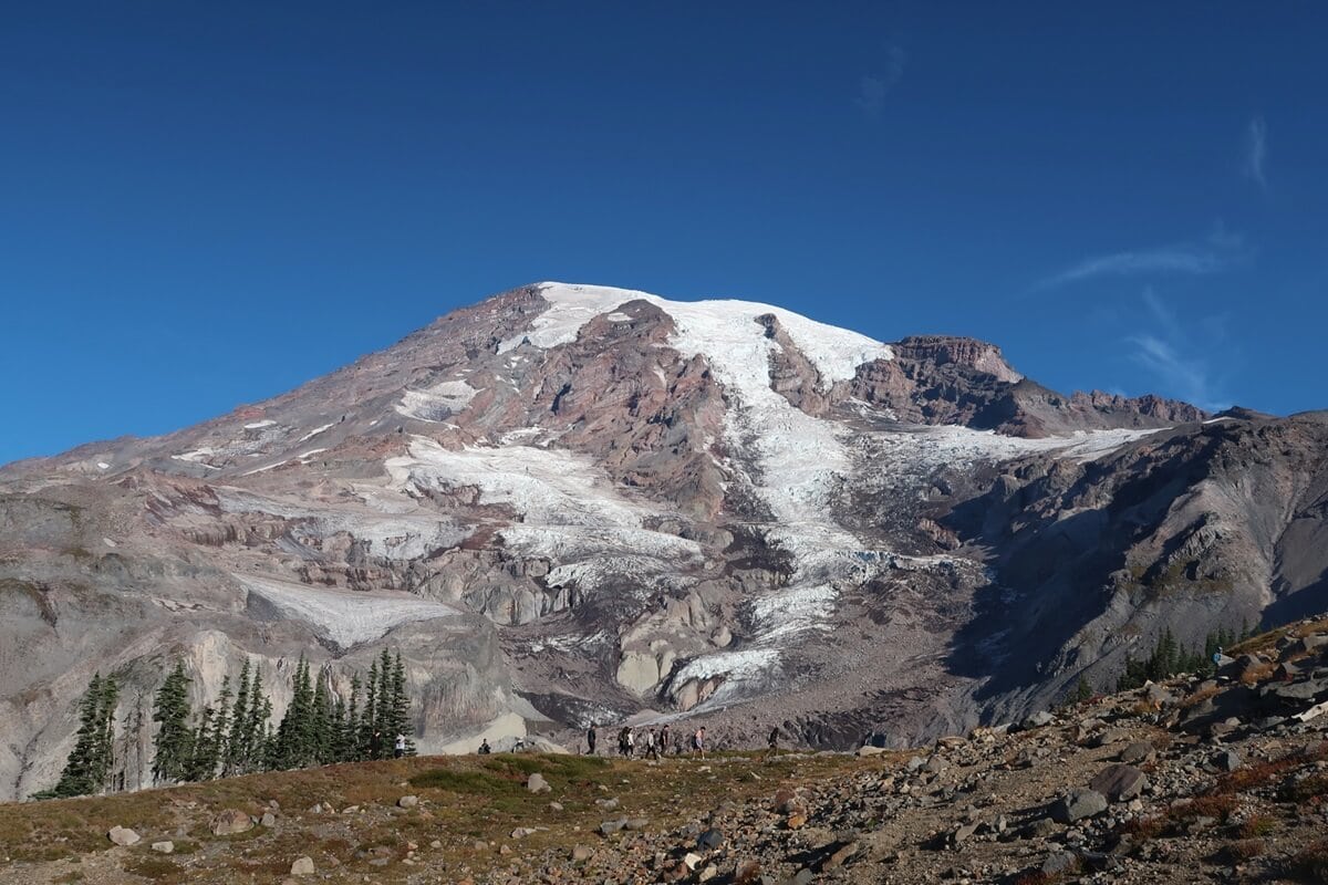 The towering summit of Mount Rainier dominates the scene, with its rugged slopes and massive glaciers glistening under a clear blue sky. In the foreground, hikers appear as small figures traversing the rocky terrain of the Glacier Vista Trail. The vibrant alpine landscape highlights the raw beauty and scale of the mountain.