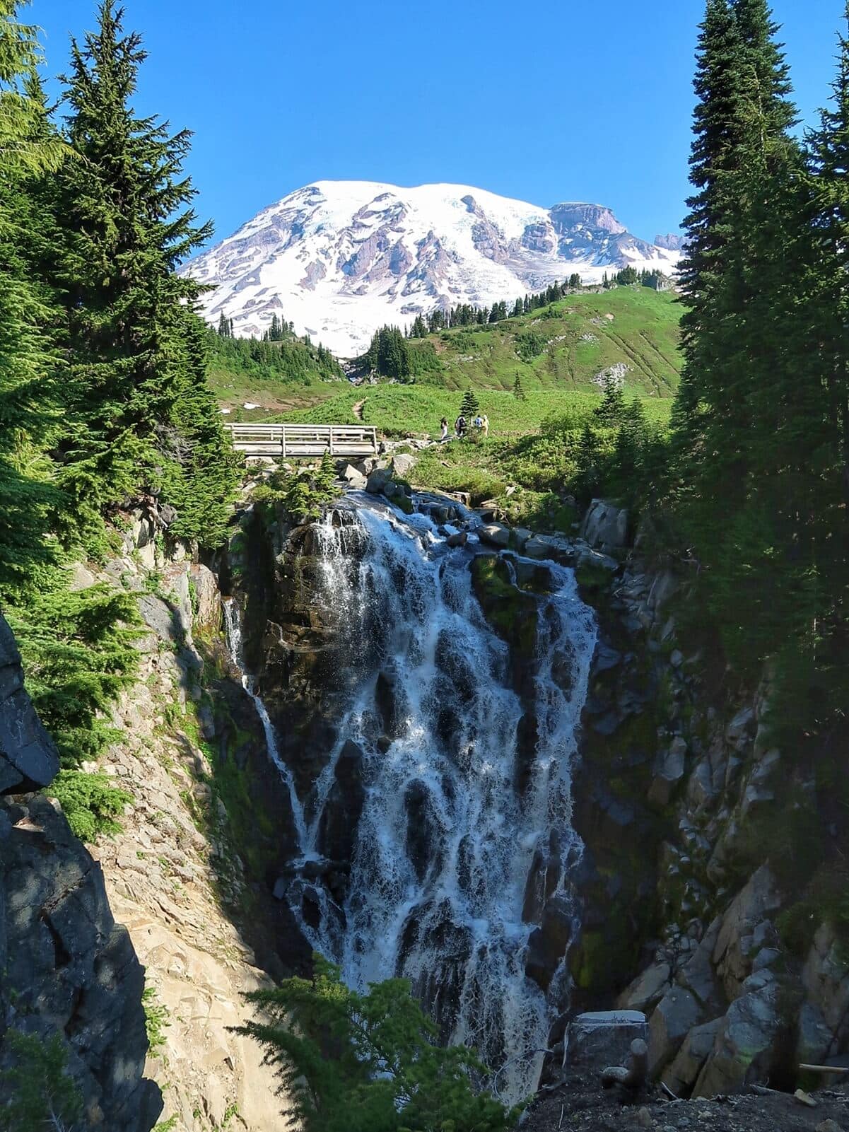 Myrtle Falls cascades down a rocky cliff, framed by lush evergreen trees, with majestic snow-capped Rainier towering in the background under a bright blue sky. A wooden footbridge spans the creek above the falls, where visitors can be seen enjoying the stunning alpine scenery. 