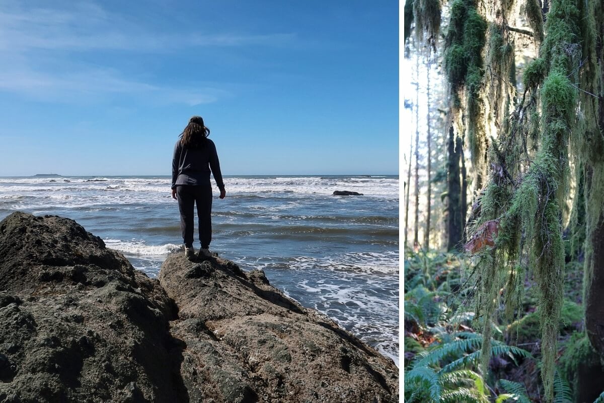 Plan a trip to Olympic National Park and experience its stunning variety—from rugged Pacific coastline cliffs where a person overlooks the ocean, to lush rainforests filled with hanging moss and vibrant ferns.
