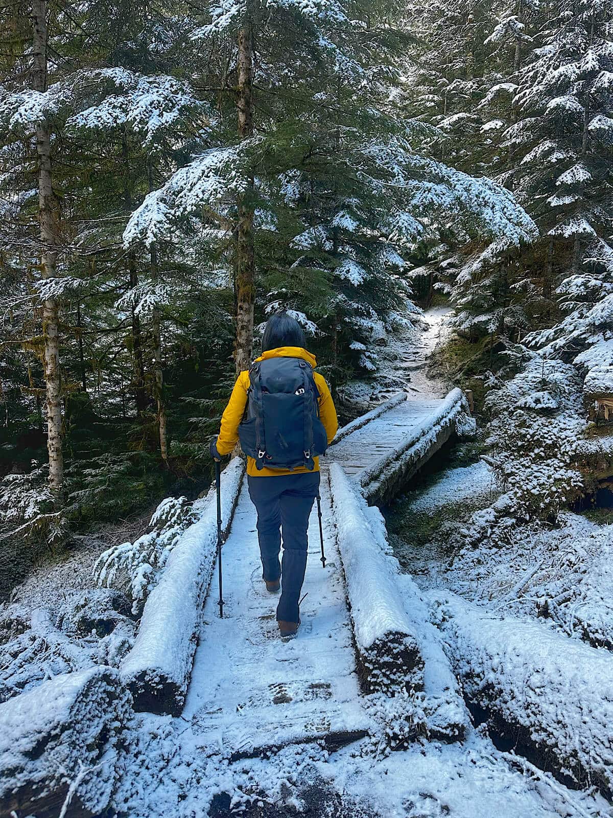 Winter hiking in Olympic National Park with a bundled-up hiker crossing a snow-covered wooden bridge surrounded by frosted evergreen trees. The narrow trail winds through a quiet, forested landscape, highlighting the peaceful beauty of the park in winter.