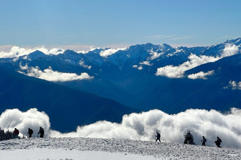 Winter in Olympic National Park: 7 Things to Do + What’s Open