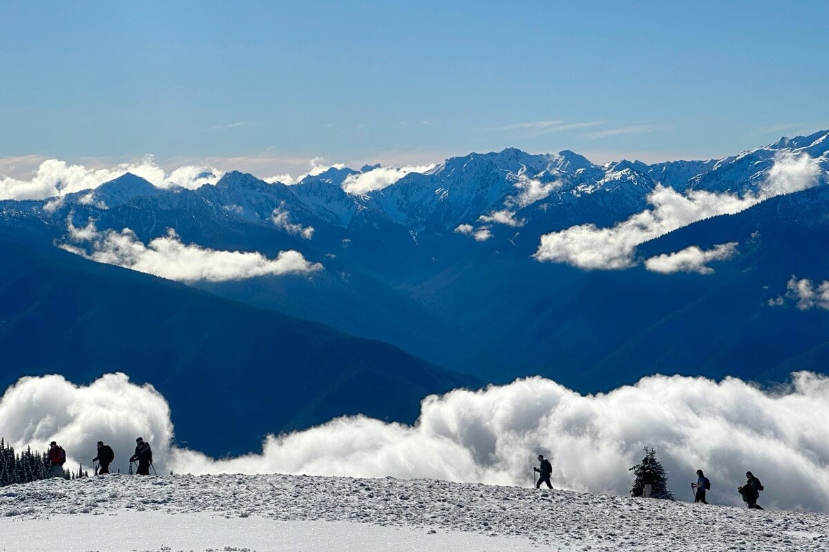 Visiting Hurricane Ridge in winter offers dramatic scenes like this one of snowshoers trekking across a snow-covered ridge with towering, snow-draped peaks and swirling clouds below. The deep blue valleys and crisp sky create a striking contrast against the snowy landscape.