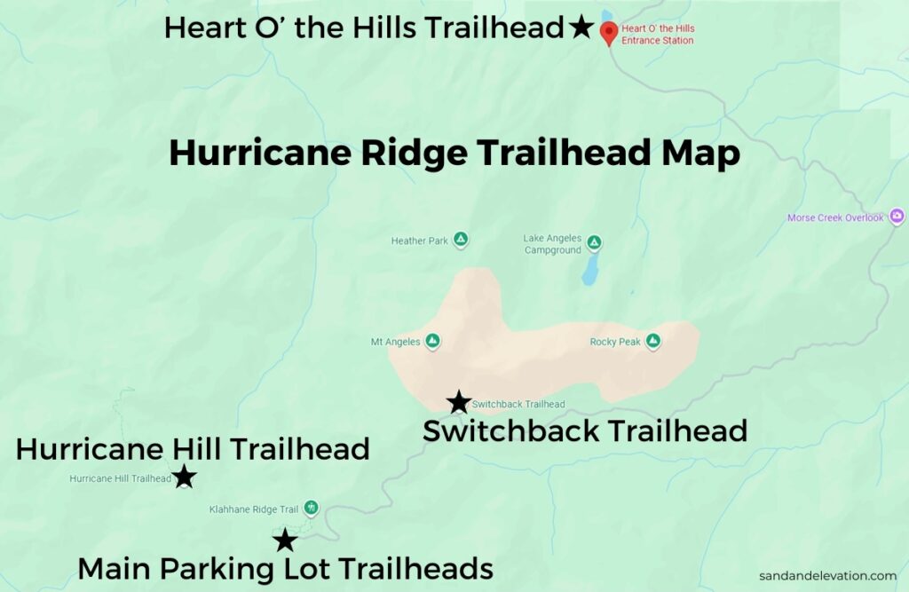 5 BEST Hurricane Ridge Trails in Olympic for Day Hikes