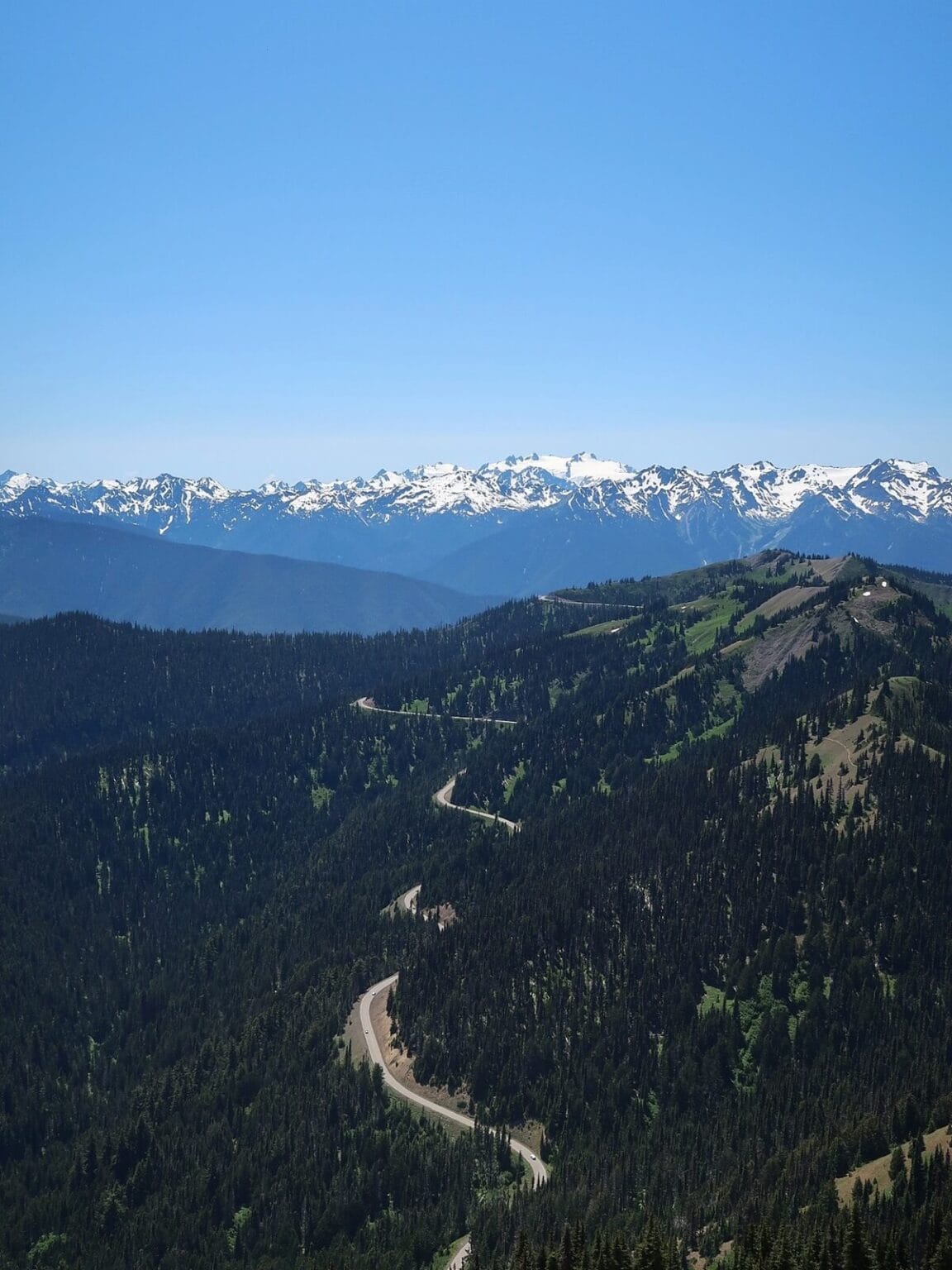 High Ridge Hurricane Ridge Guide to Visiting Hurricane Ridge in Olympic National Park