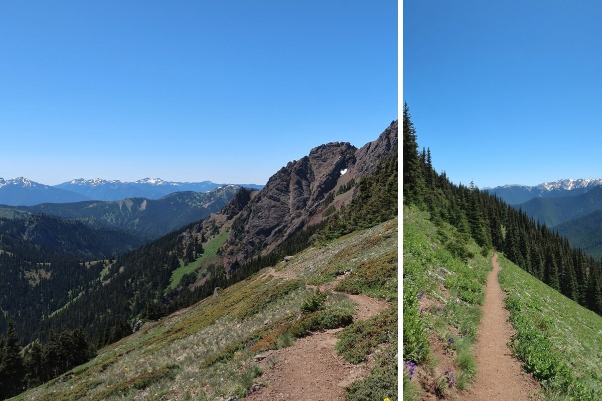 Klahhane Ridge Trail winds through alpine meadows and along steep mountain slopes, offering panoramic views of rugged peaks and distant snow-capped ranges under a clear blue sky. The narrow dirt path is surrounded by wildflowers and dense evergreen forests.