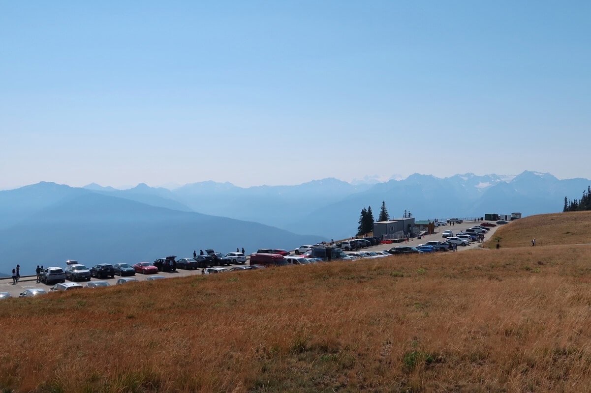 Panoramic view from the Hurricane Ridge parking lot, one of the best things to do at Hurricane Ridge, with cars set against a backdrop of hazy blue Olympic Mountain peaks and golden alpine meadows. 