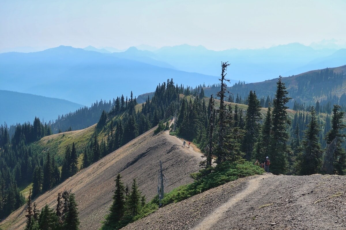 Hurricane Ridge hiking trails wind along scenic ridgelines with sweeping views of layered mountain peaks and forested slopes in Olympic National Park. Hikers are seen making their way along a narrow dirt path.