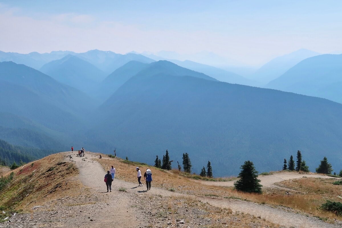 Book a Guided Tour to Hurricane Ridge, Lake Crescent & Sol Duc