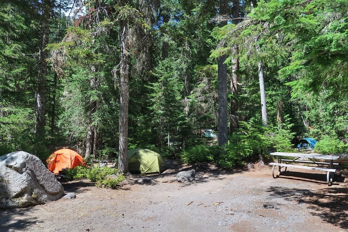 Cougar Rock Campground, with colorful tents set up among tall pine trees and a picnic table nearby, capturing the peaceful experience of camping at Mount Rainier. Sunlight filters through the trees, highlighting the natural beauty of the wooded setting.