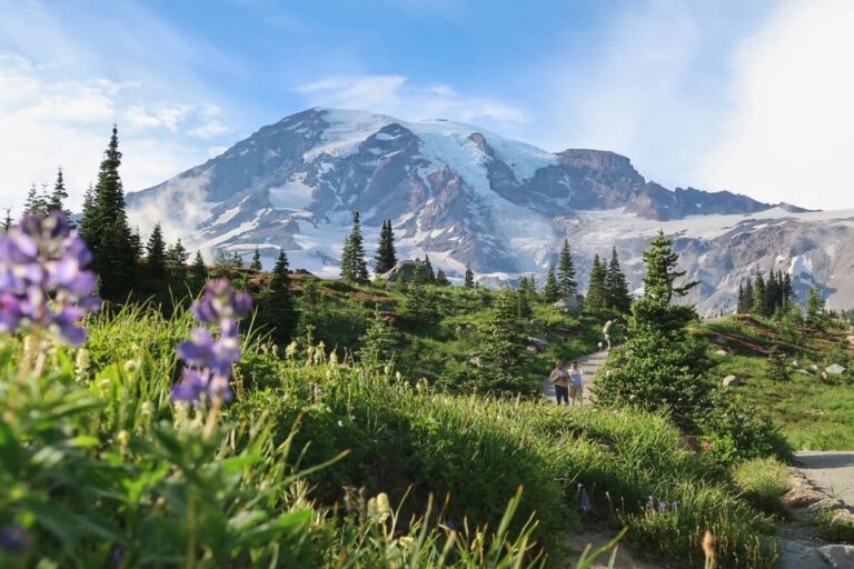 How to Visit Mount Rainier & Plan the Perfect Trip Length