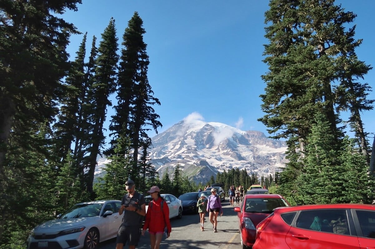 Parking at Mount Rainier can be challenging, as shown by this image of a crowded roadside lined with parked cars and hikers walking. Towering evergreens frame a clear view of the snow-covered mountain under a bright blue sky.