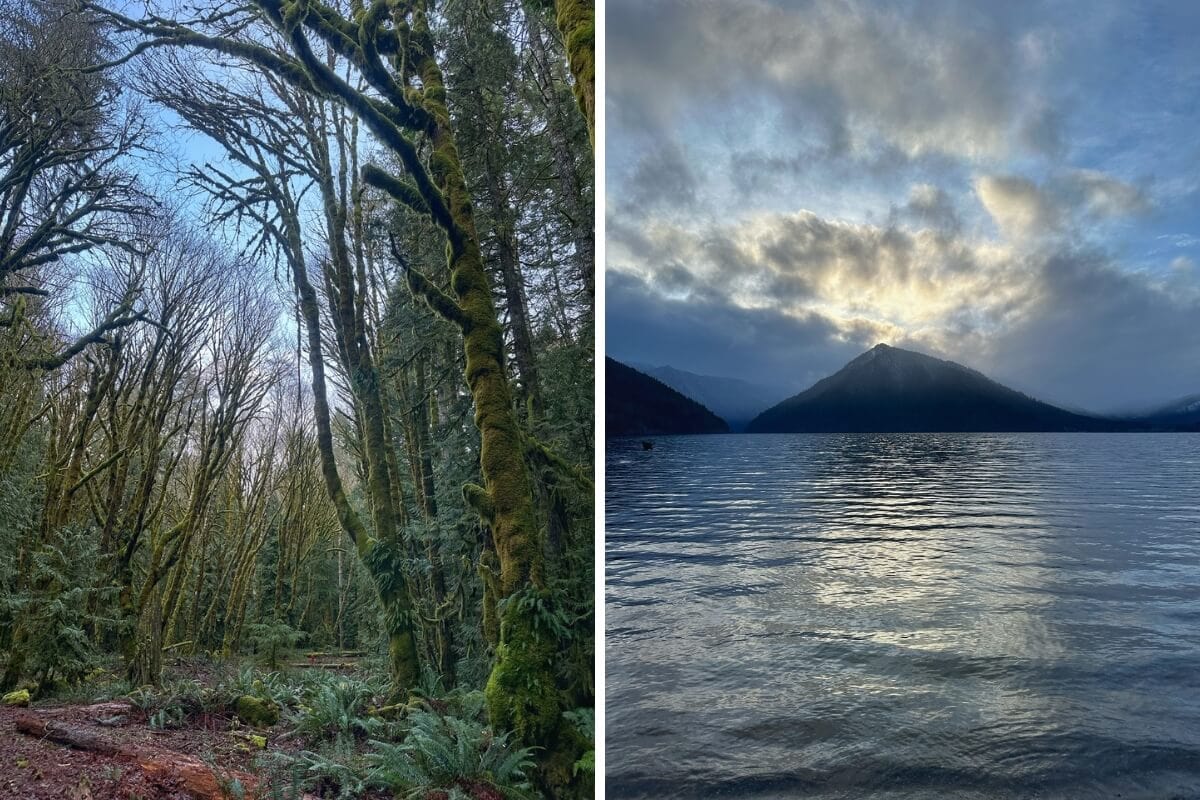 Side-by-side images of Lake Crescent in March: on the left, a moss-covered forest trail winds through tall, leafless trees under a clear blue sky. On the right, the lake reflects soft evening light as clouds drift over a mountain peak at sunset.