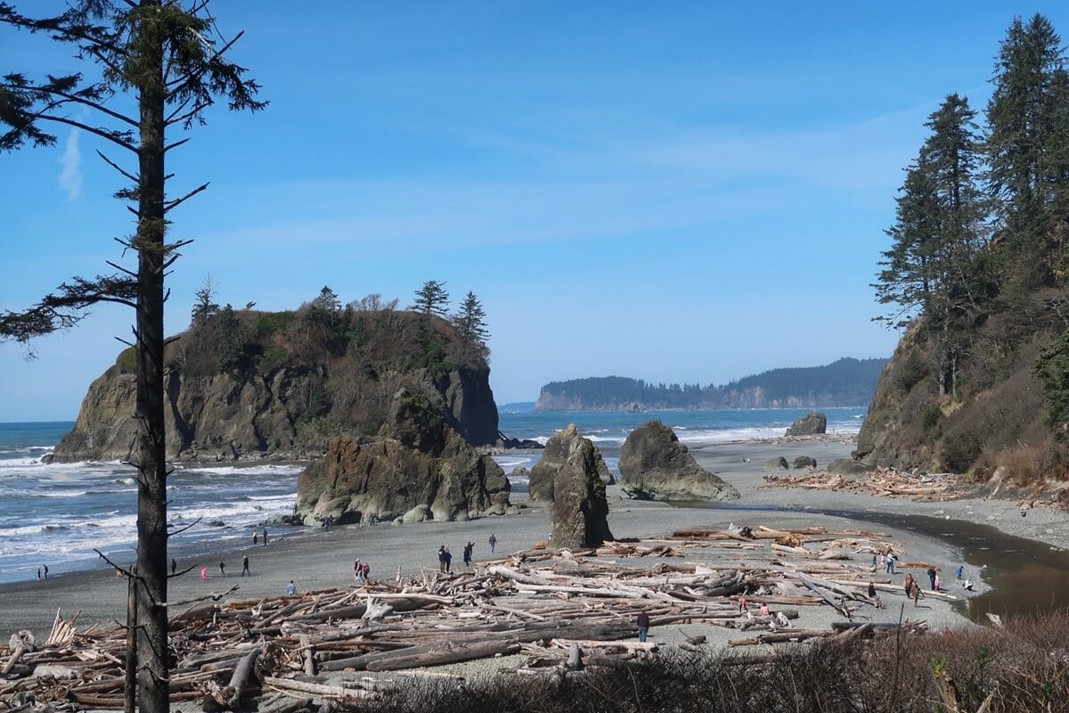 Driftwood logs cover the rocky shore at Ruby Beach in May, where visitors walk among sea stacks and tidal pools. Towering cliffs and scattered evergreens frame the coastline under a clear blue sky on a bright spring day.