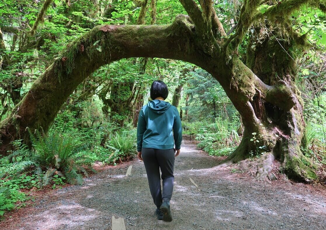 A person walks beneath a large curved tree covered in moss along a forest trail in the Hoh Rainforest. The bent tree forms a natural arch over the path, surrounded by ferns and dense green foliage.