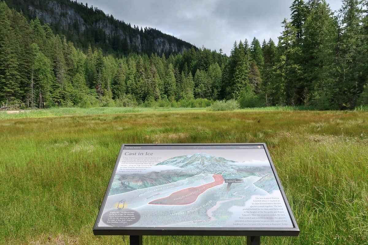 An interpretive sign stands in Longmire meadow, set against tall grass and a backdrop of dense evergreen forest and Rampart Ridge. The display features a detailed illustration of glaciers and lava flows, helping visitors understand the geologic history of Mount Rainier National Park.