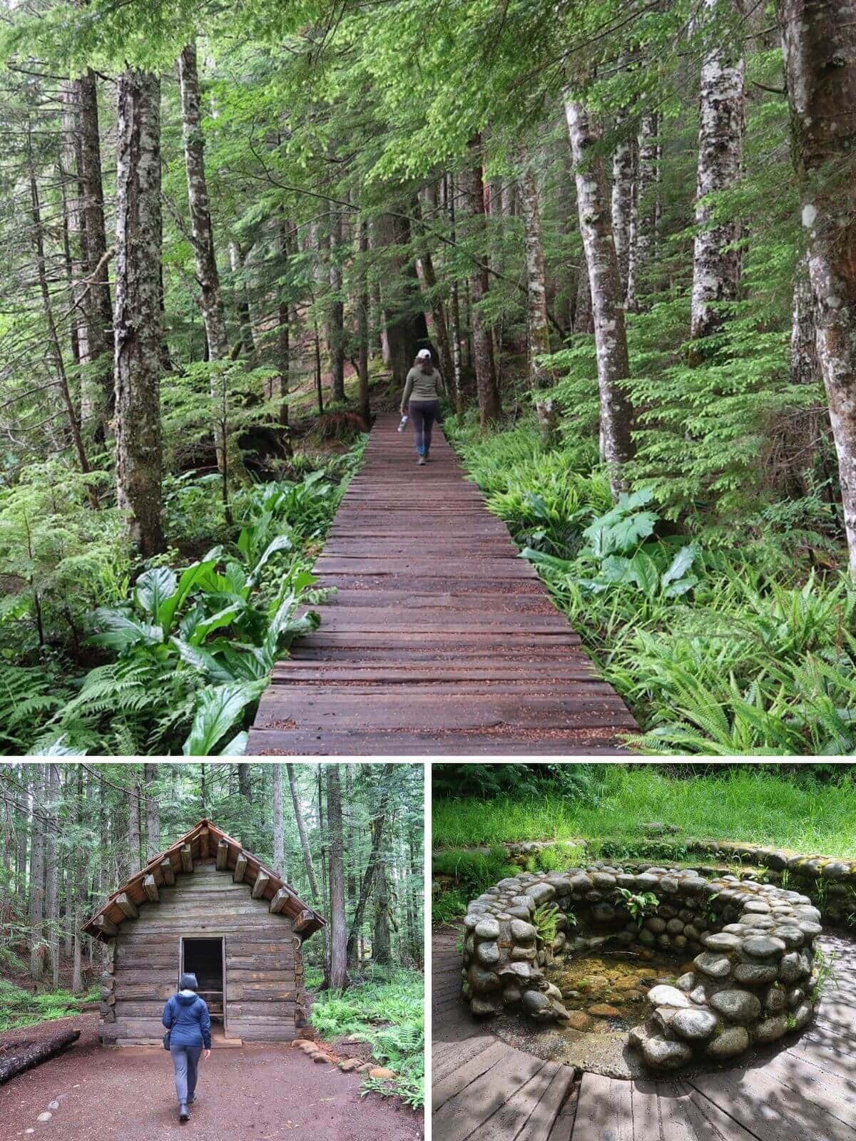 Three photos of the Trail of the Shadows hike. The top photo shows a person walking along a wooden boardwalk surrounded by dense green forest. Below, smaller images show a person approaching Longmire cabin and a circular stone spring filled with clear water, highlighting historic and natural features along the forest trail.