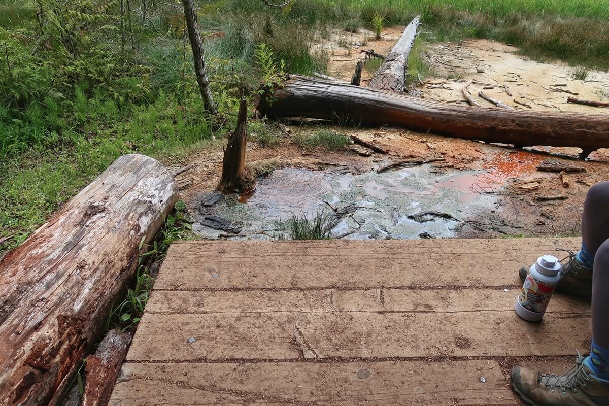 A small mineral pool with orange tinged water bubbles beside fallen logs and tall grasses, viewed from a wooden platform. These bubbling springs on the Trail of the Shadows showcase the iron rich runoff and geothermal activity tucked into the forest landscape.