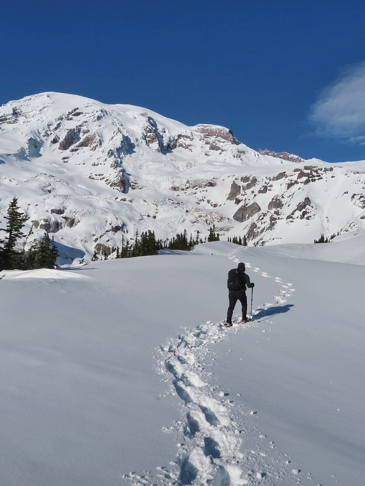 A lone hiker uses trekking poles to walk through deep snow toward a snow-covered Mount Rainier. The bright blue sky and untouched terrain capture the quiet beauty of Paradise in winter.