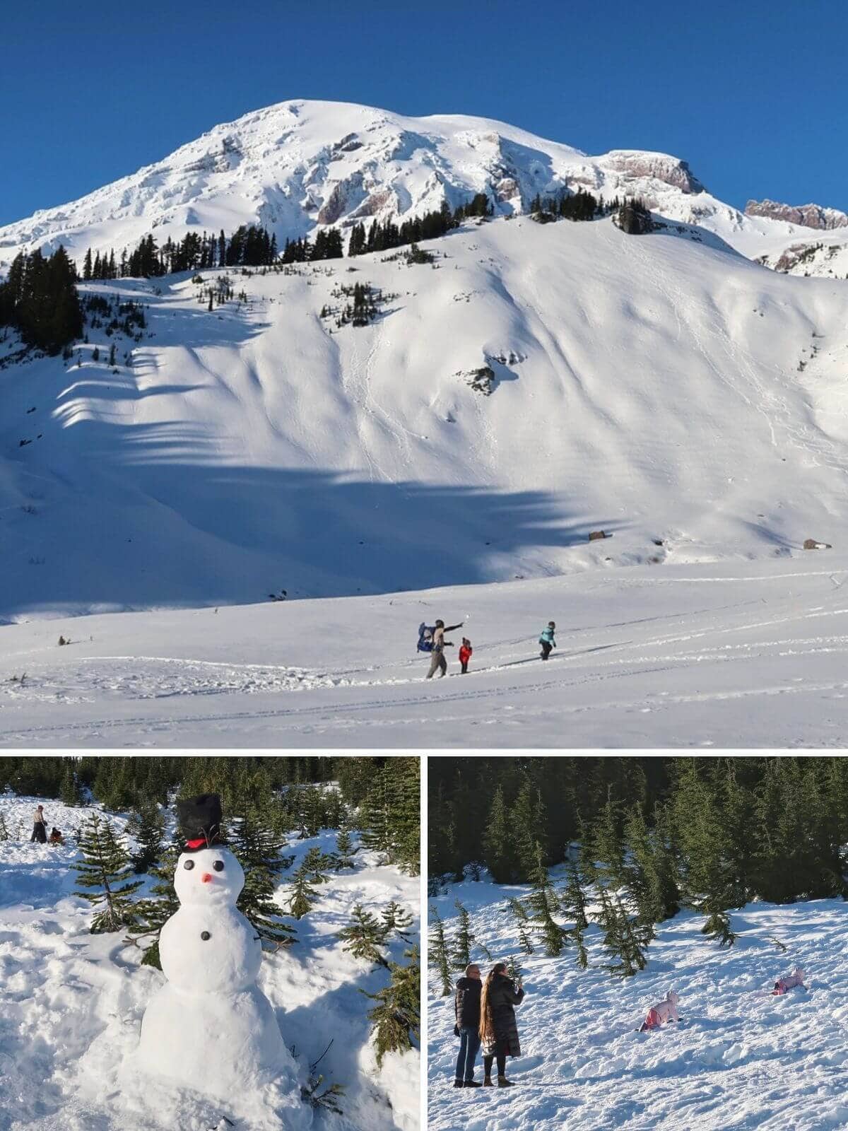 A collage highlights things to do in Mount Rainier in winter including hiking across snowy slopes with a mountain backdrop building a snowman among small evergreen trees and children playing in the snow while adults watch nearby.