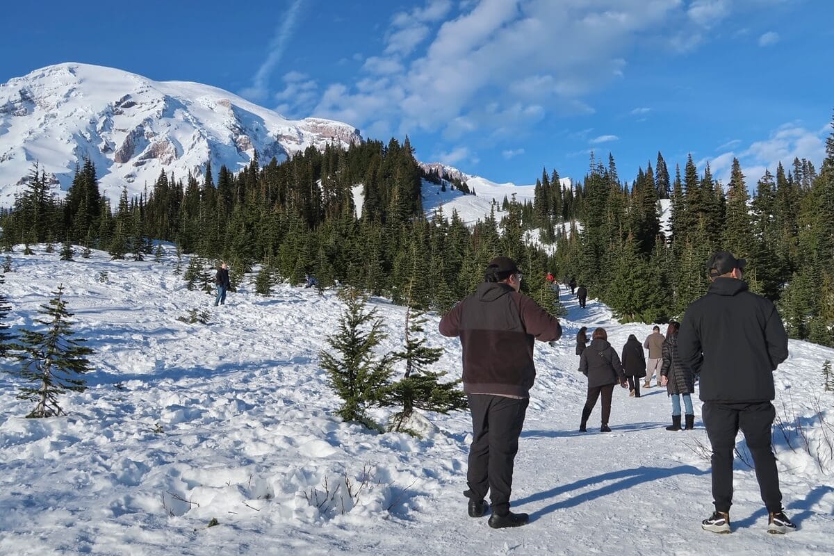 A group of people walk along a packed snowy trail surrounded by evergreen trees during easy winter hikes at Mount Rainier. A large snow covered mountain rises in the background under a bright blue sky, showing a scenic and accessible winter hiking route.