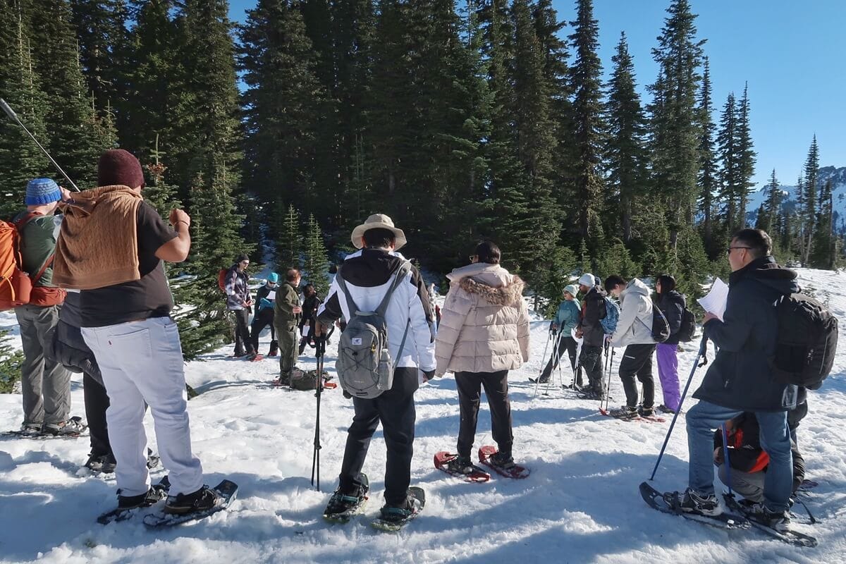 A group stands together during ranger guided snowshoe walks at Mount Rainier surrounded by evergreen trees under a clear blue sky. Participants wear snowshoes and winter clothing while listening to a ranger, showing a structured outdoor learning experience in a snowy forest setting.