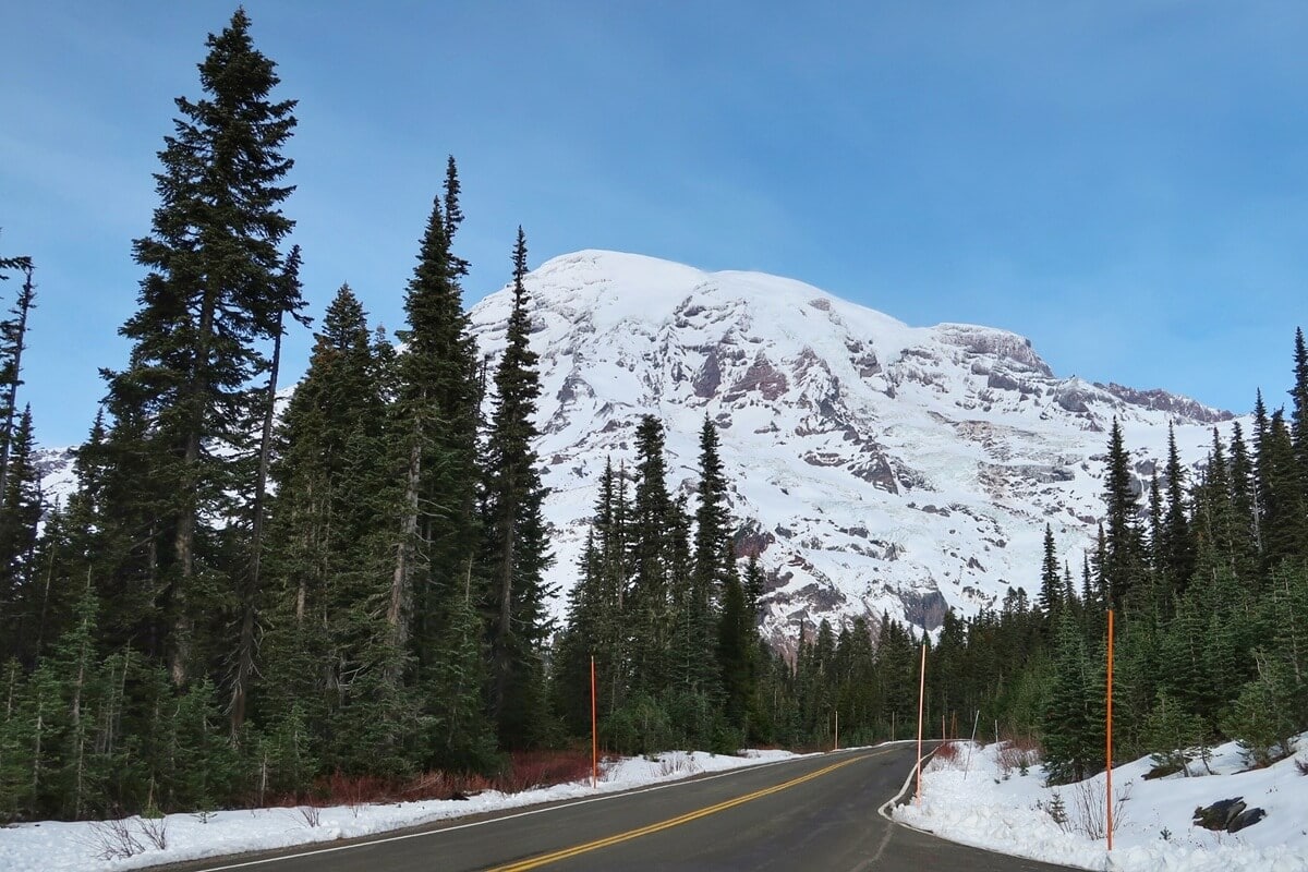 A paved road winds through snow lined shoulders showing winter road conditions at Mount Rainier. In the background, a massive snow covered mountain rises steeply against a pale blue sky with dense evergreen forest in the foreground.