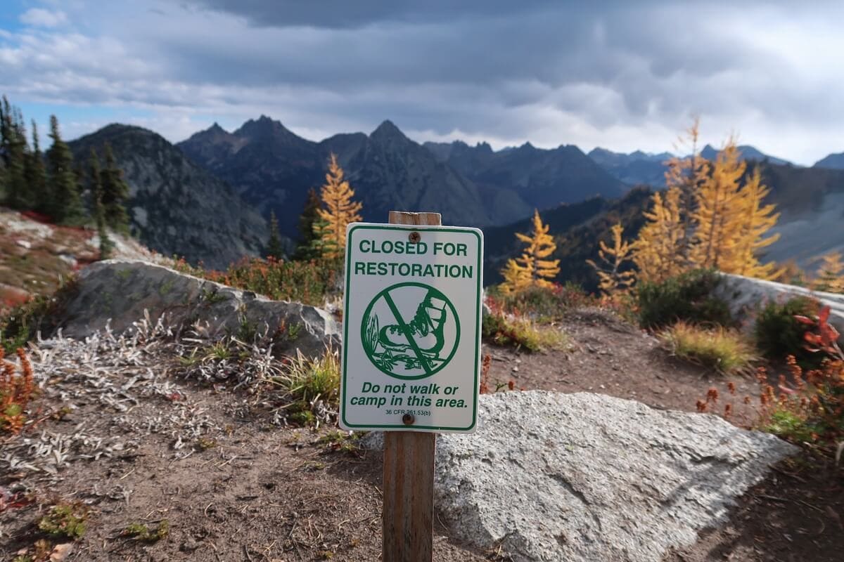 A restoration sign reading "Closed for Restoration. Do not walk or camp in this area." stands beside an alpine trail, with golden larch trees and rugged mountain peaks in the background.