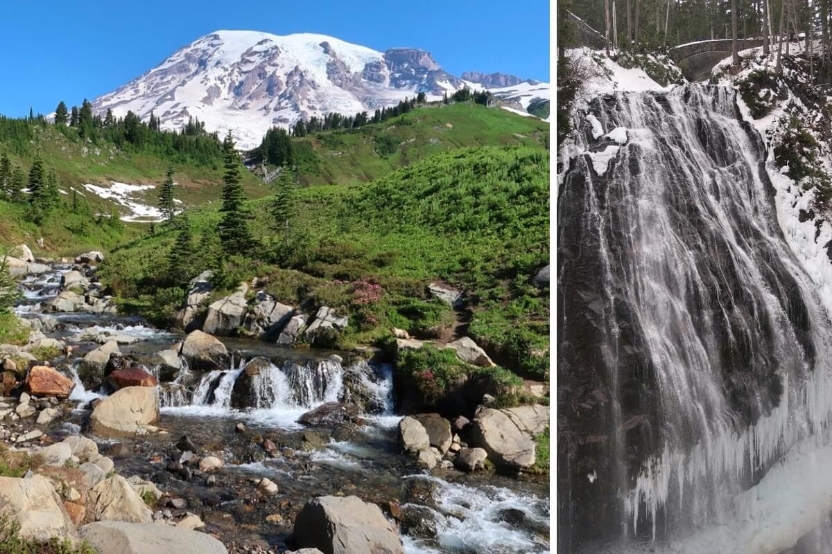 Split image showing two Mount Rainier waterfalls in different seasons. The left side features Edith Creek flowing through alpine meadows beneath the snow covered peak on a sunny day, while the right side shows Narada Falls cascading over dark cliffs with snow and ice.