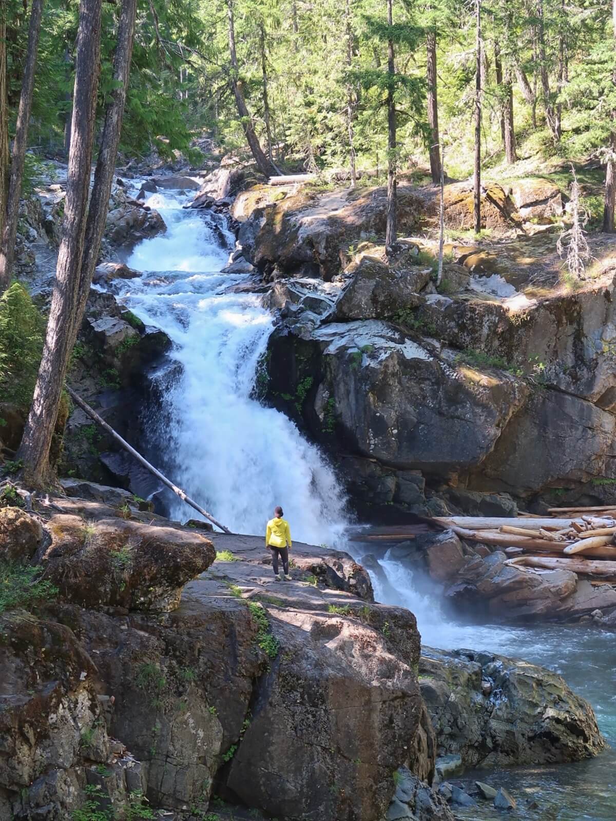 Silver Falls crashes through a narrow rocky gorge surrounded by evergreen forest, while a person stands on a rock ledge watching the powerful cascade. The scene highlights the scale and beauty of Silver Falls along the Ohanapecosh River.