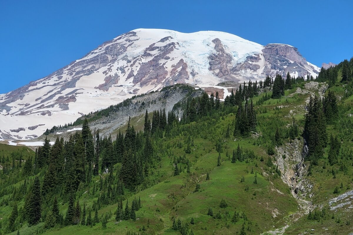Sluiskin Falls descends a narrow rocky gully on the green slopes below the snow covered summit of Mount Rainier. The distant waterfall is framed by evergreen trees and alpine meadows, showing how it blends into the mountain landscape.