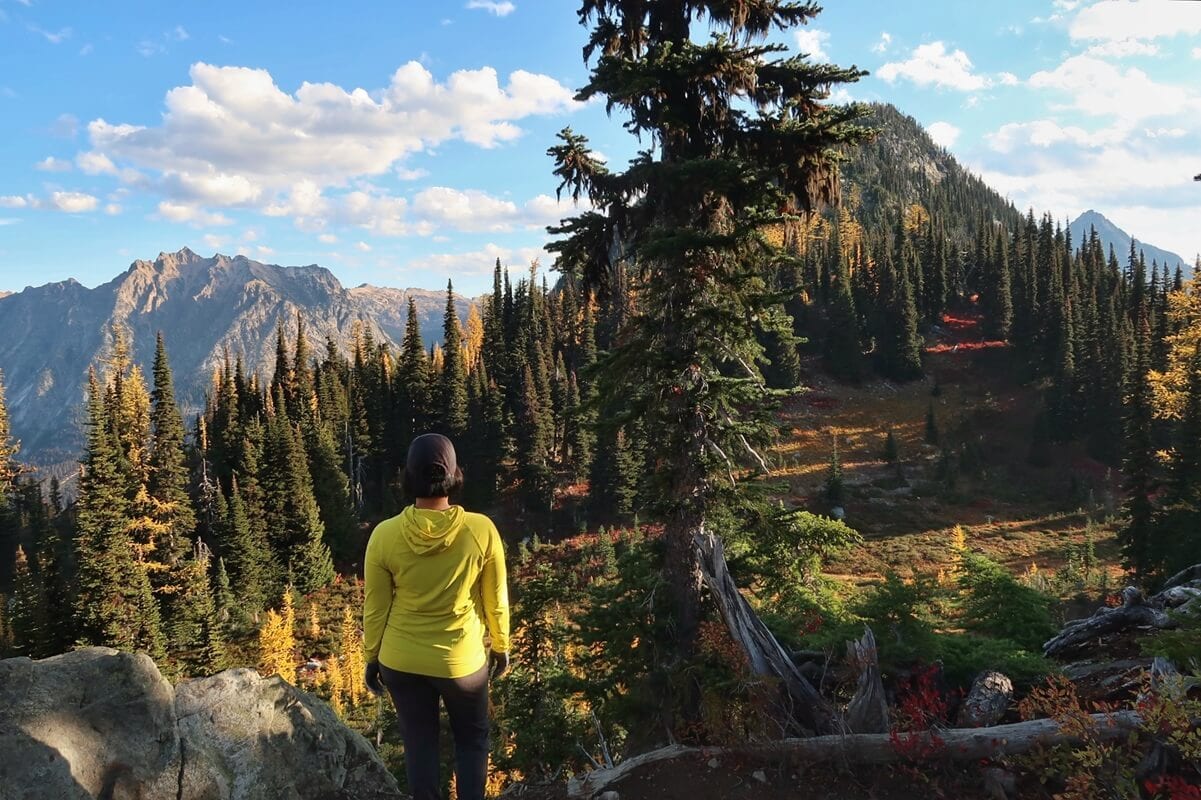A hiker stands on a rocky overlook surrounded by golden larches on the Maple Pass Loop, with evergreen forests and rugged mountain peaks stretching into the distance.